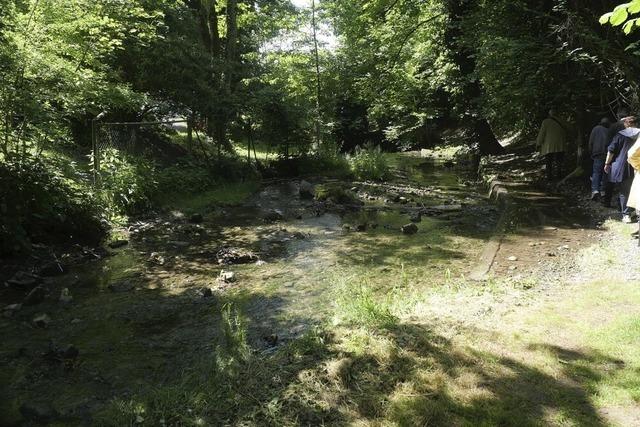 Gewalt oder Einvernehmlichkeit? Landgericht Waldshut-Tiengen beschftigt sich mit Rheinufer-Vorfall