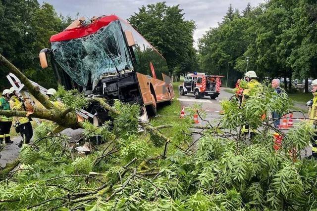 Linienbus kracht in Bad Krozingen in einen Baum