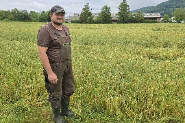 Hagelunwetter in Bad Sckingen: Erdbeersaison auf dem Iselehof vorzeitig beendet