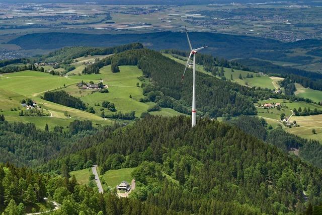 Auf Freiburger Windradbaustelle soll es Umweltverste gegeben haben – doch Aufsichtsbehrde winkt ab