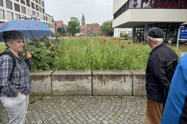 Stadtspaziergang in Lrrach zeigt die grne Zukunft