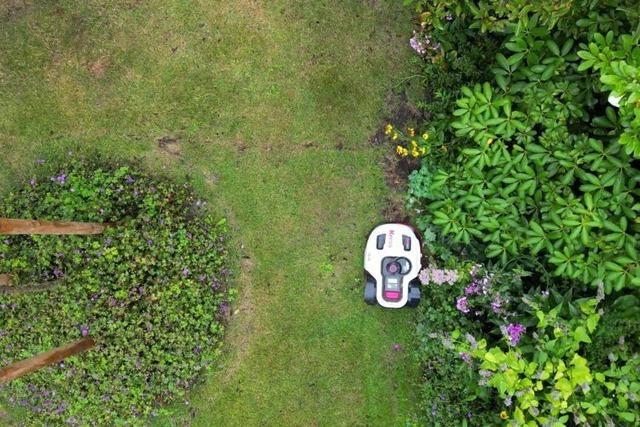 Gefahr fr Tiere: Mhroboter mit Bedacht einsetzen