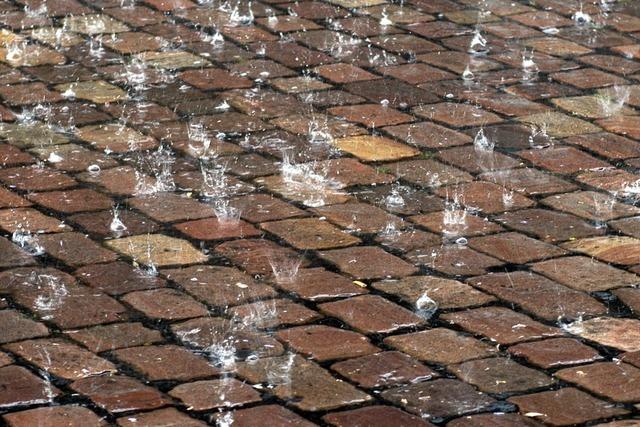 Freiburg im Regen ist ein Traum fr den Reisenden
