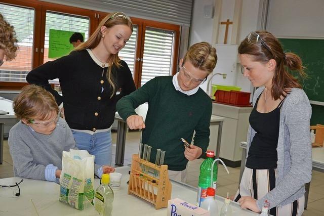Samenverkauf, Bcherbasar und Duelle am Schachbrett am Kolleg in St. Blasien