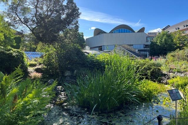 Wissenswertes ber die Ernhrung der Zukunft im Botanischen Garten in Basel