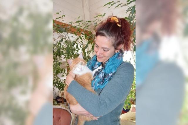 Katharina Gimmi aus Pfaffenberg gibt Katzen mit Behinderung ein Zuhause