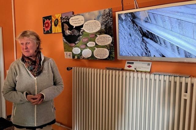 Hauinger Grundschler haben jetzt Kontakt zu Fledermaus Luna – und 1000 ihrer Artgenossen